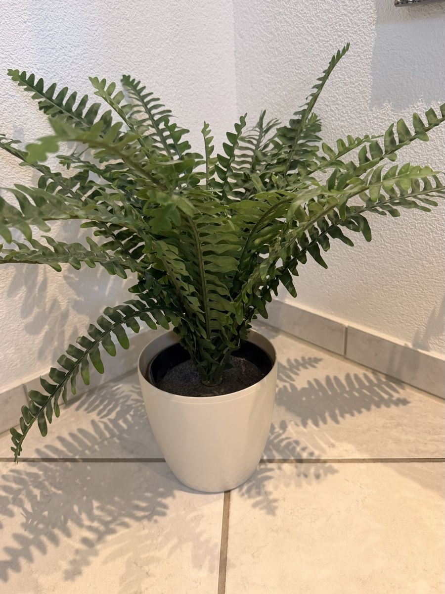 Plantes & graines: 2x IKEA Kunstpflanzen inkl. Töpfe – D'occasion à beinwil am see par tre_2kff 1