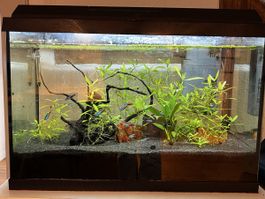 Aquarium 70l