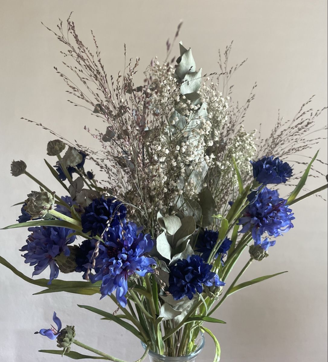 Piante & sementi: Kornblumen  – Usato da Freidorf TG venduto da ibipatria 3