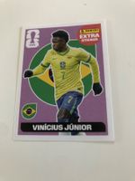 Image panini sticker2026