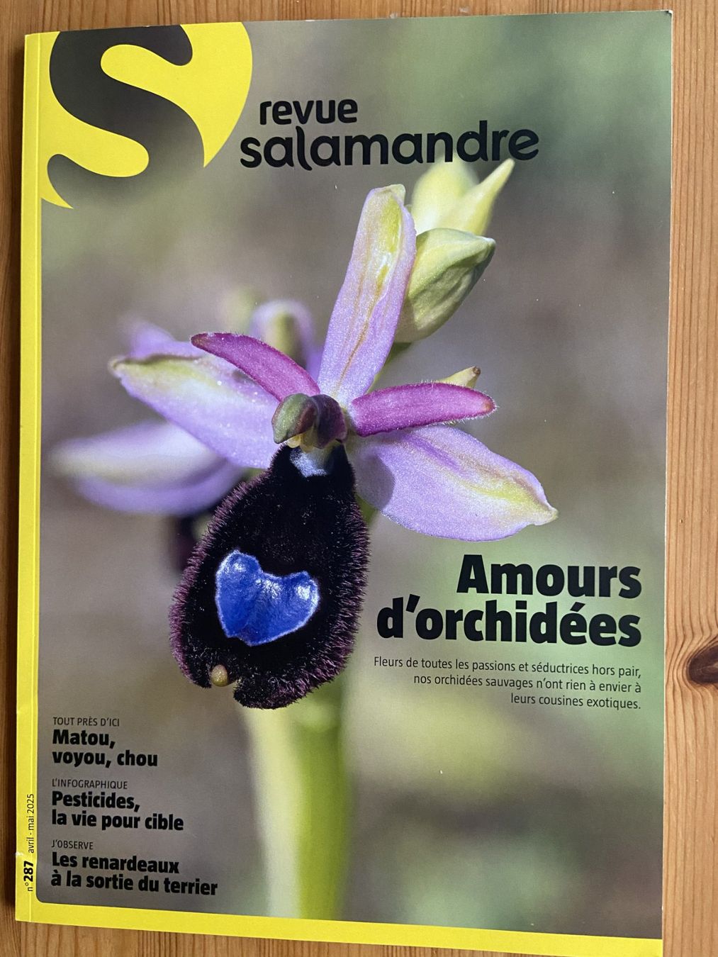 Riviste & Magazine: Revue Salamandre : Collection complète printemps en nature! – Nuovo (secondo la descrizione) da Neuchâtel venduto da marevecor 7