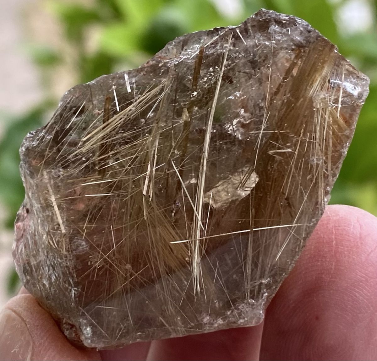 Minerali & Pietre curative: Schönes Stück Goldrutil  – Usato da Selzach venduto da 321compac 4