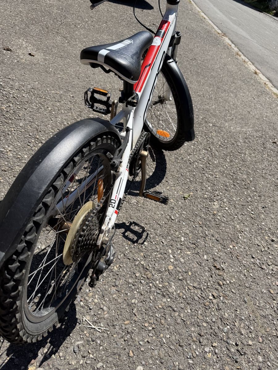 Felt Velos: Fahrrad – Gebraucht aus Basadingen von FwIn1 3