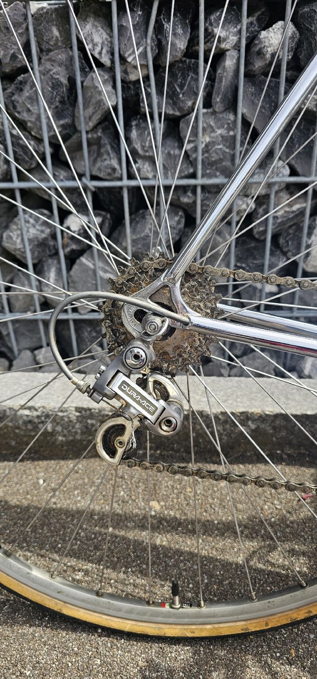 Biciclette: Rennrad Boschetti Marano Italy – Usato da Lengnau AG venduto da Scheslain01 8