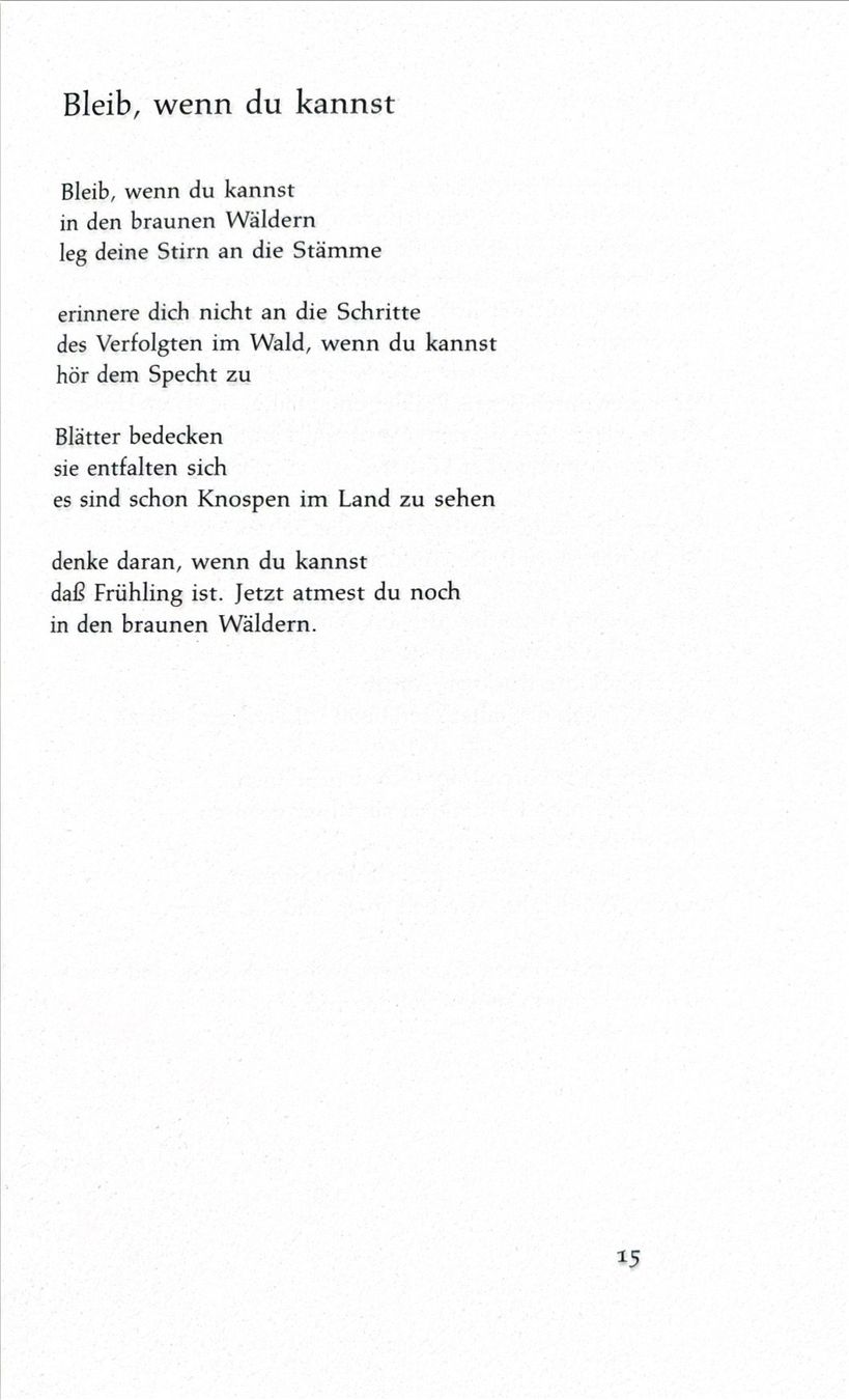 Libri: Tuvia Rübner, Wüstenginster – Nuovo (secondo la descrizione) da Sarnen venduto da Livres 8