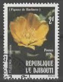 DJIBOUTI - FUGUIER de BARBARIE   (19