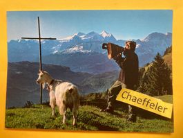 Betruf mit Wetterhorngruppe