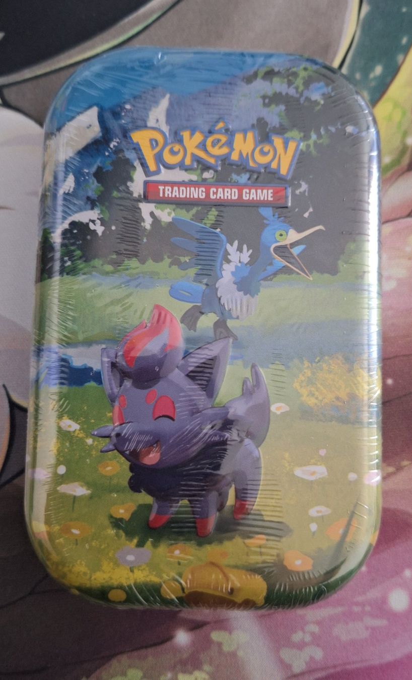 Pokémon Carte collezionabili: Ascended Heroes: Zorua Mini Tin - Tins – Usato da Naters venduto da poketrade11