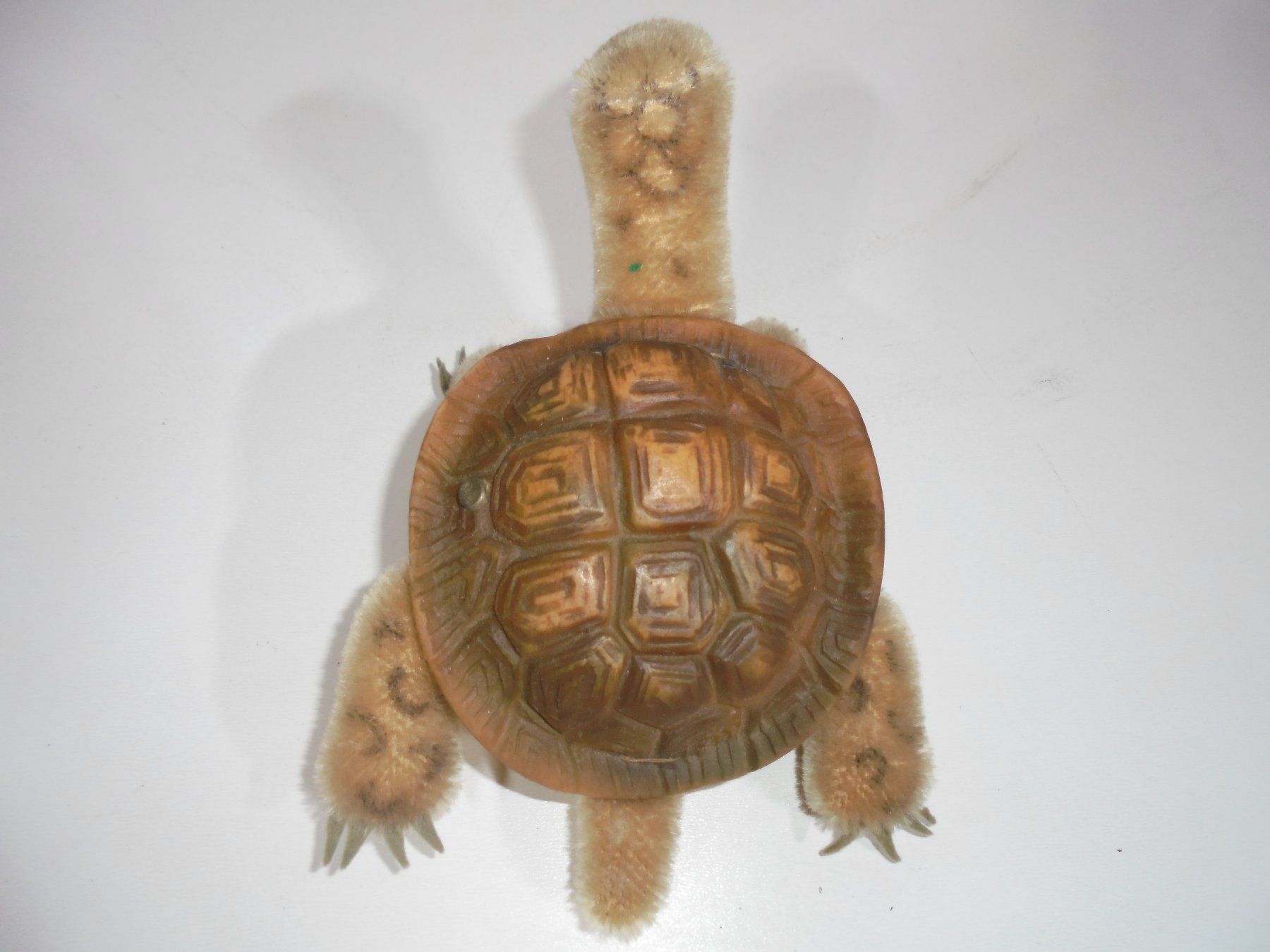 Steiff Giocattoli: antike Steiff Schildkröte – Usato da Bern venduto da Truvaille 2