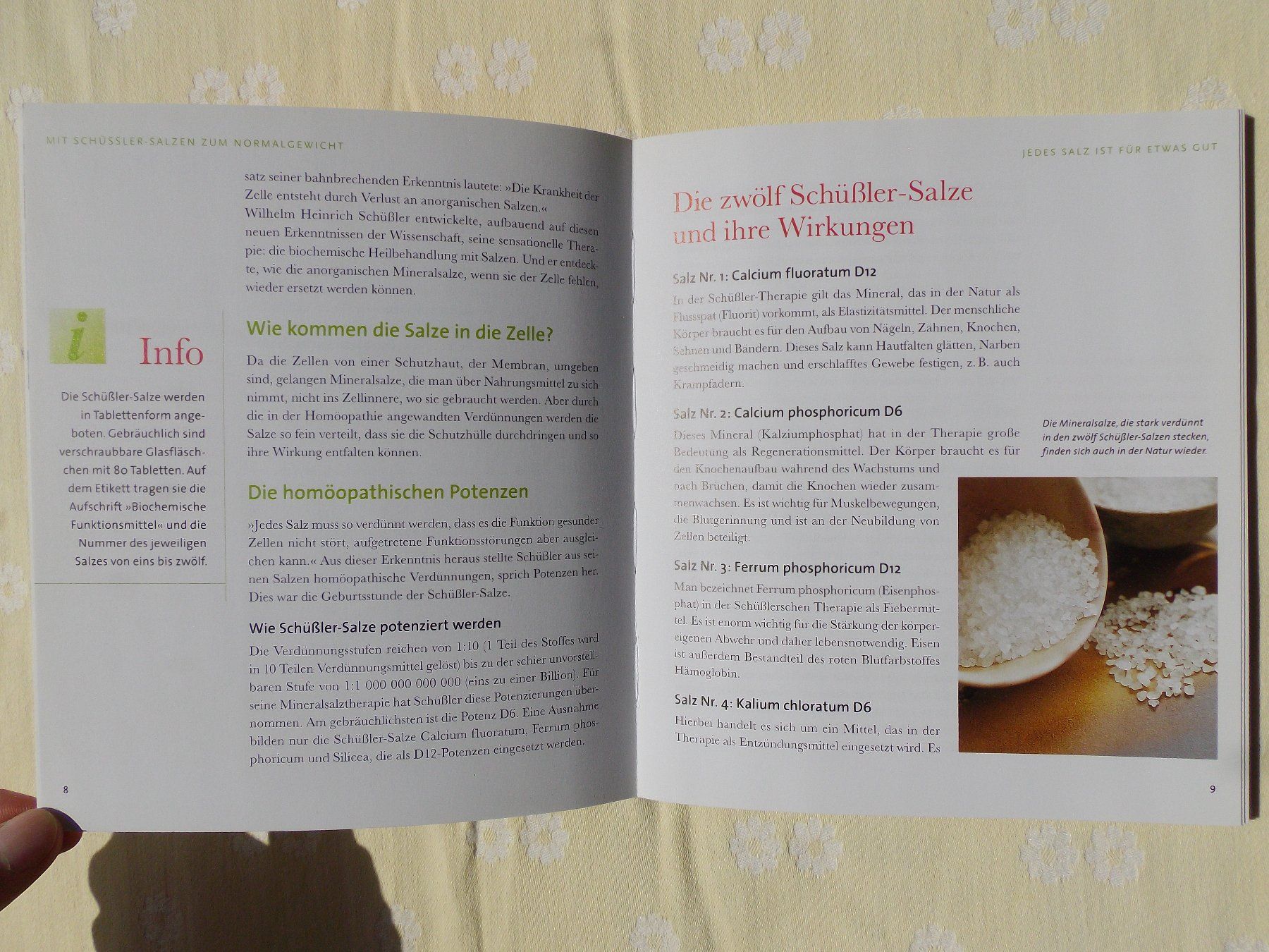 Libri: Typgerecht abnehmen mit Schüssler-Salzen – Usato da Uster venduto da urs_75by 3