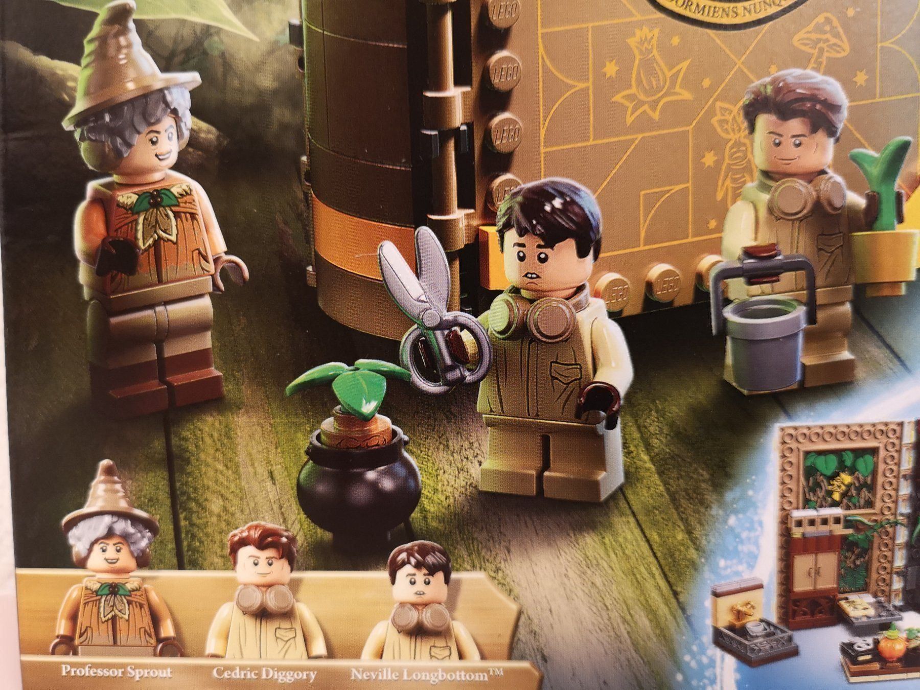 Lego Kit di costruzioni: Lego 76384 Harry Potter Herbology Class – Nuovo e nell'imballaggio originale da Echichens venduto da aegis0129 2