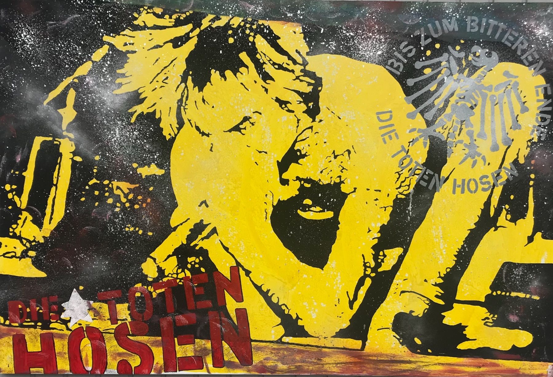 Foto & Immagini: Die Toten Hosen Campino Bild – Nuovo (secondo la descrizione) da Egolzwil venduto da Studart