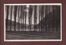 Am WALENSEE - 1932