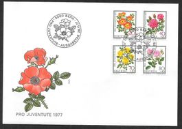 FDC Pro Juventute Serie 1977 J261 - J264 ET Bern 28.11.1977