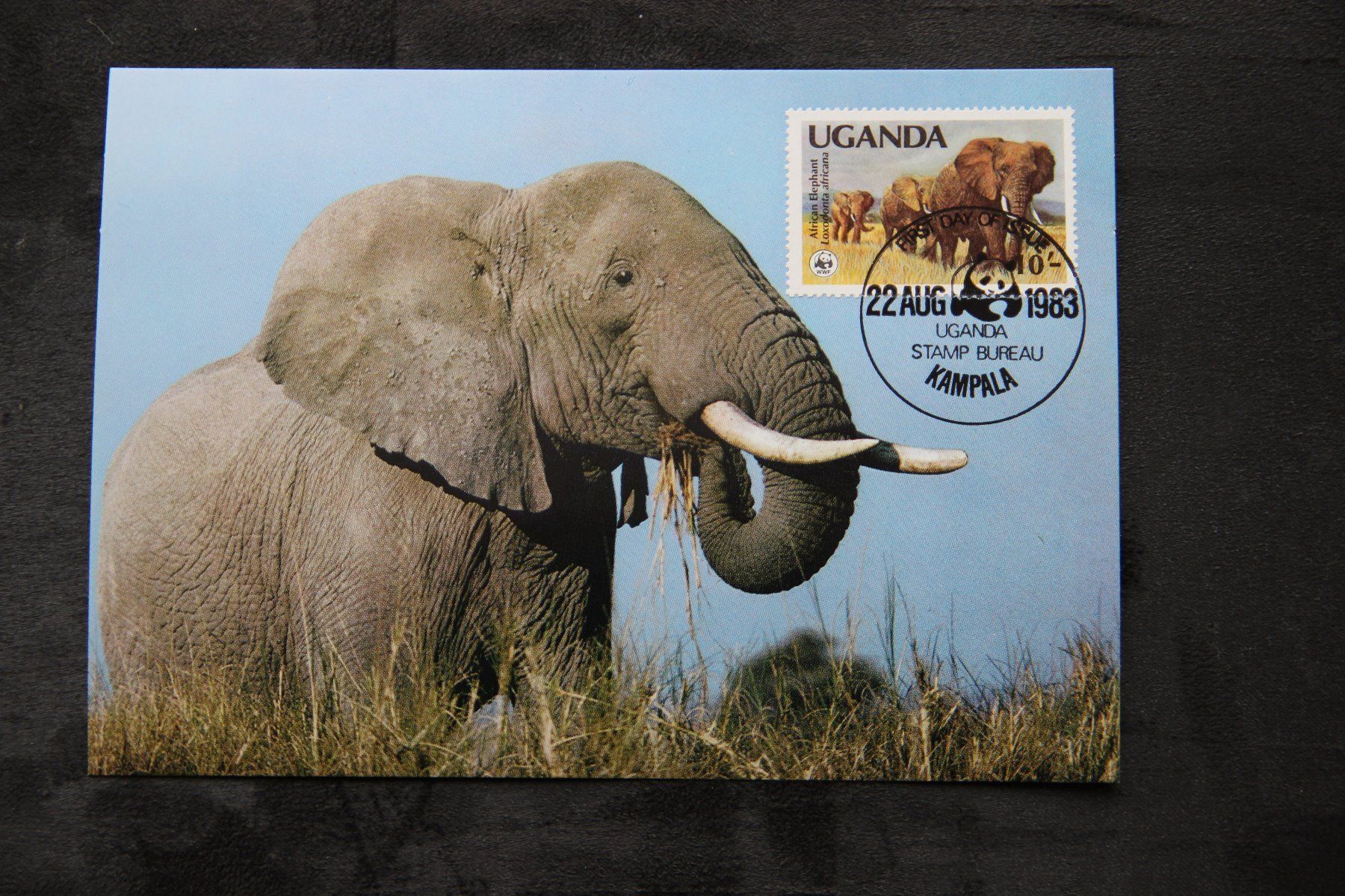 Alle Briefmarken: Uganda 1983 - Maximumkarten - Elefanten (WWF) – Neu (gemäss Beschreibung) aus Jona von Southafrica07 2