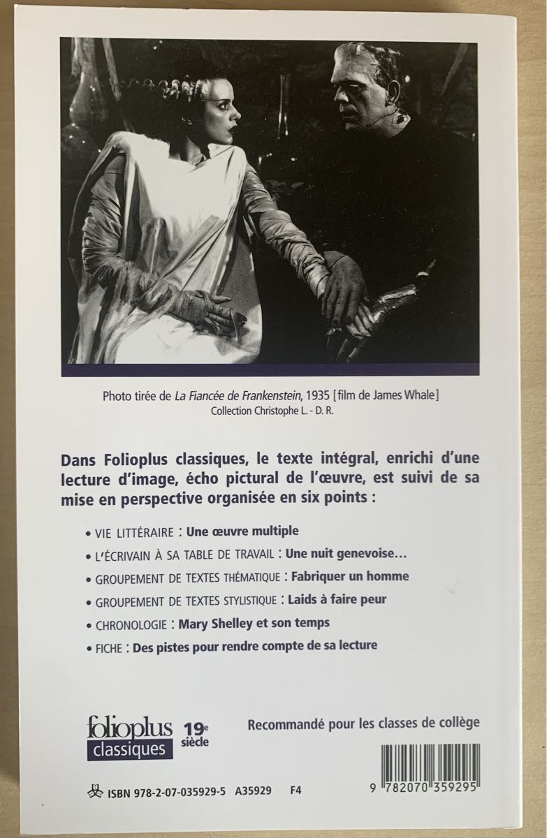 Libri: Mary Shelley, Frankenstein – Usato da Valeyres-sous-Ursins venduto da ansuz_001 1