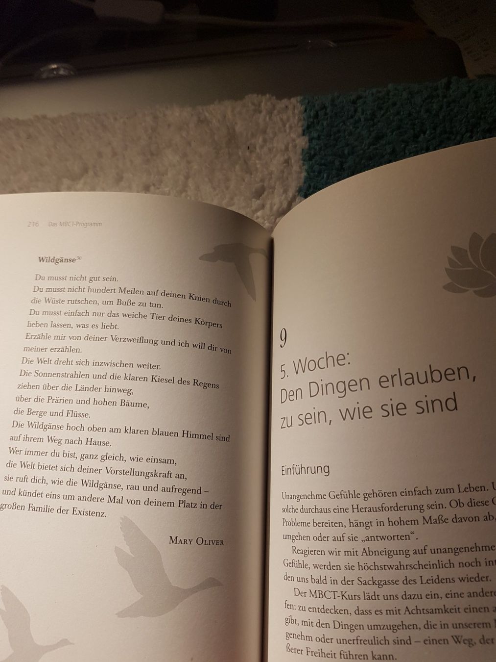 Libri: Das MBCT-Arbeitsbuch, ein 8 Wochenprogramm, werde FREI! – Nuovo (secondo la descrizione) da Niedergösgen venduto da Happy-7 3