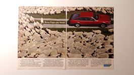 ROVER SD 1 3500 - Werbung / Bilddokument / Reklame