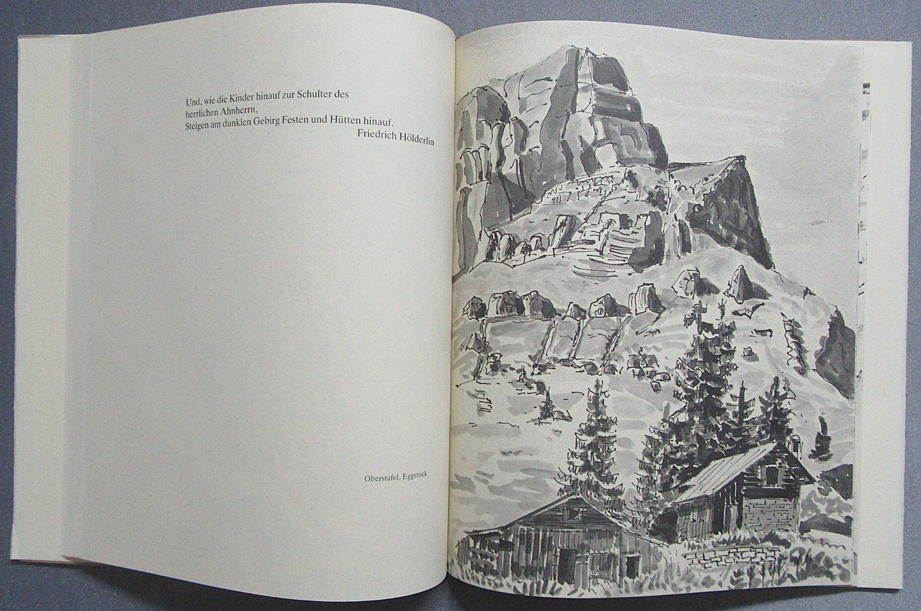 Libri: Braunwalder-Skizzen von Ernst Weber – Usato da Auenstein venduto da Padabimbim 4
