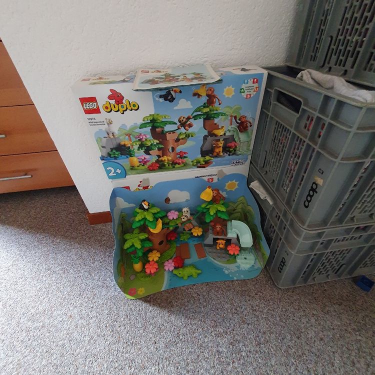 Duplo Dschungel 2+ (Gebraucht) in Neuenkirch für CHF 21 – mit Lieferung ...