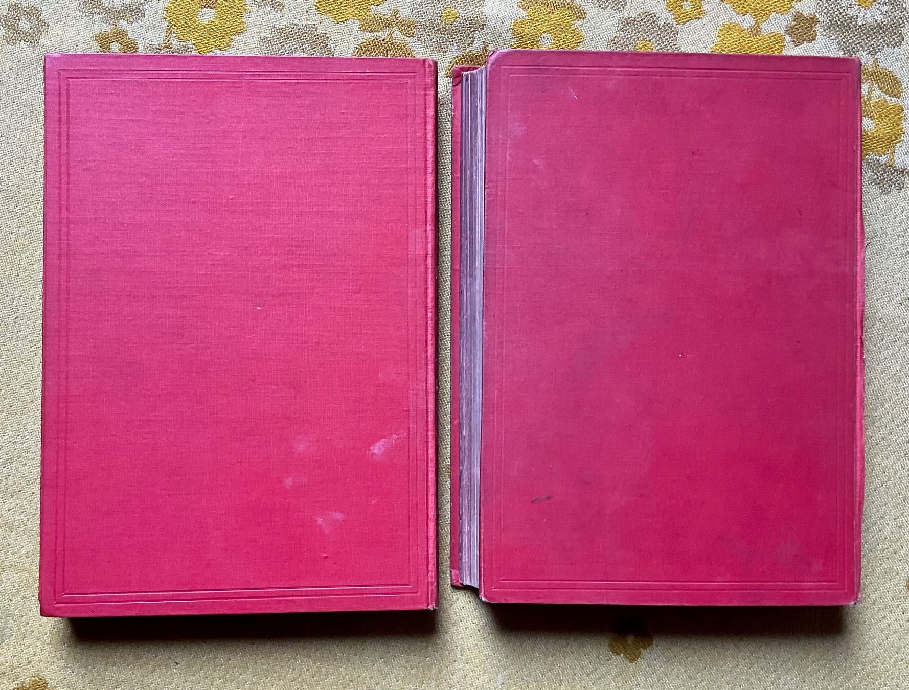 Libri: 2 Bücher Der Schweizerische Robinson von 1895 – Usato da Endingen venduto da nathan05 9