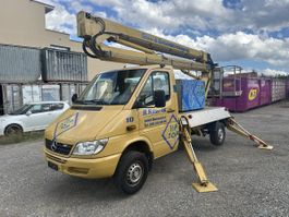 Mercedes Benz 311 CDI Selbstfahrer