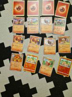 Pokémon Karten Set