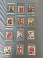 Panini Fussball Extra Sticker-Set (ink. Lamine Yamal Gold!)