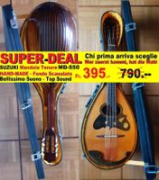 MANDODA/mandolin SUZUKI MD-550 Scanalata