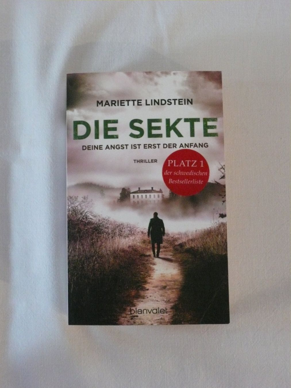 Libri: Thriller von Mariette Lindstein – Nuovo (secondo la descrizione) da Rotkreuz venduto da Busa17 5