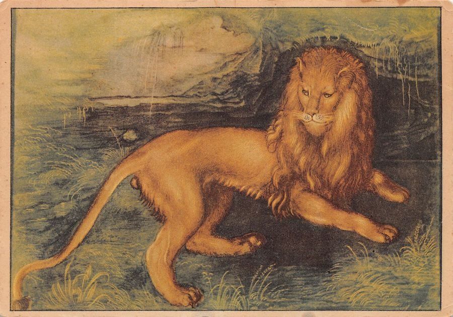 Cartes postales: Kunst-AK, Albrecht Dürer, Löwe – D'occasion à Frauenfeld par POML