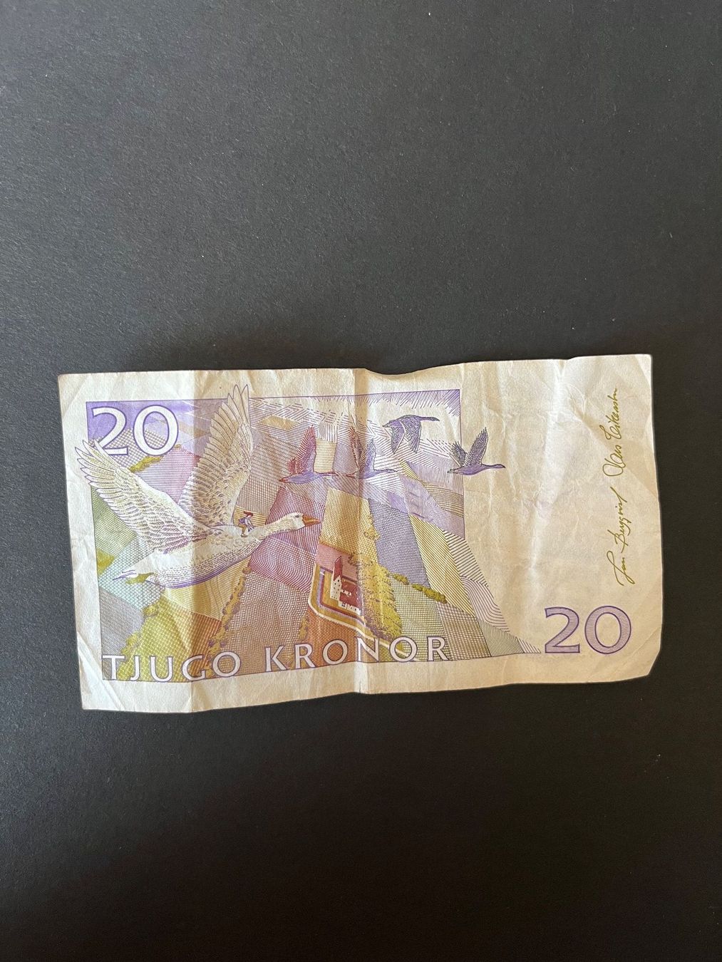 Banconote: Schwedische 20-Kronen Banknote – Usato da bern venduto da lea_9ttc