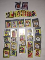 Sammlung 290 stickers !!! Panini Fifa World Cup 2026