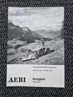 Original Prospekt Aebi Export Programm / Englisch / Japan?