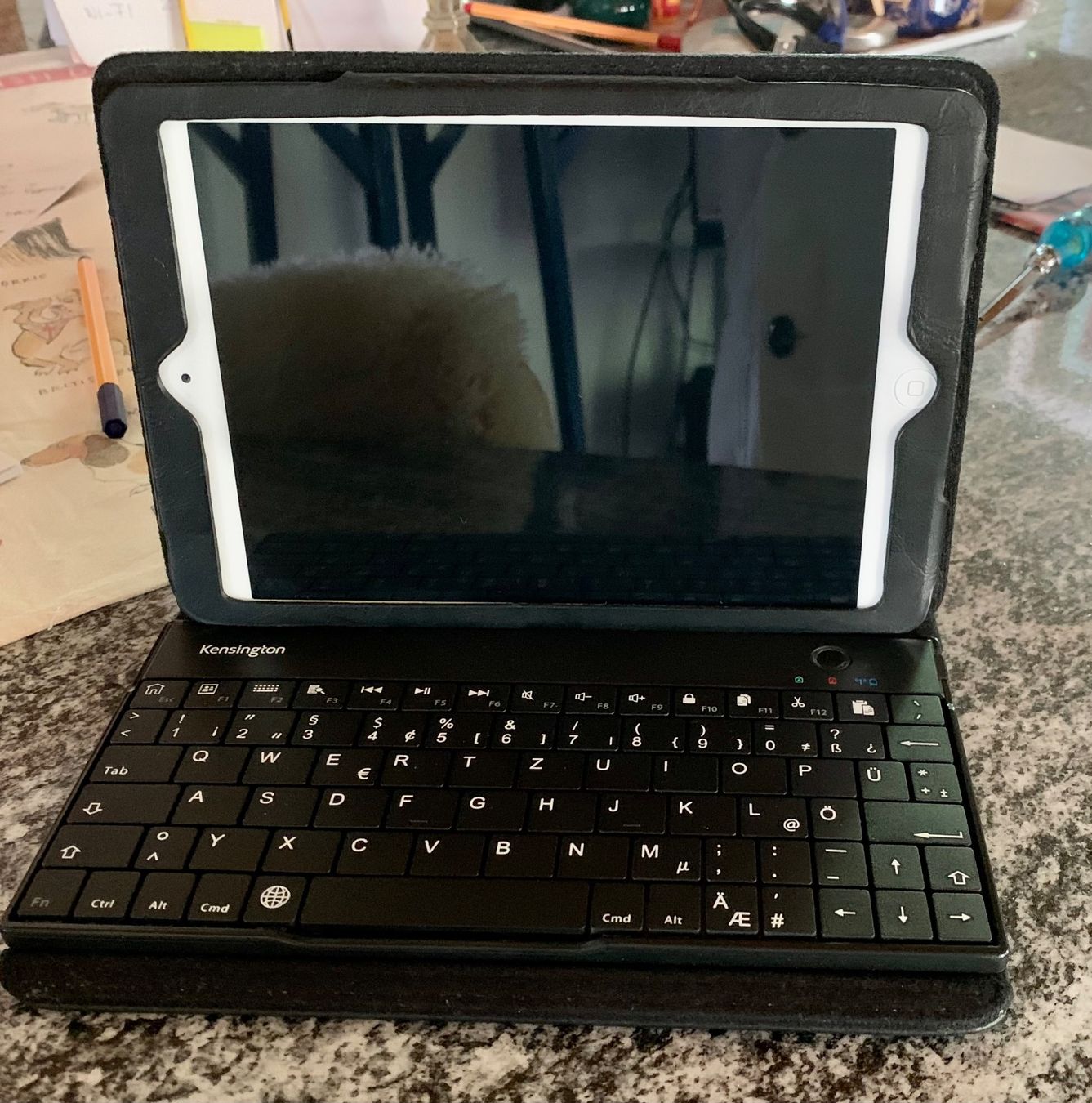 Apple Tablettes PC: iPad mini 2 – D'occasion à Pazzallo par 51chro74