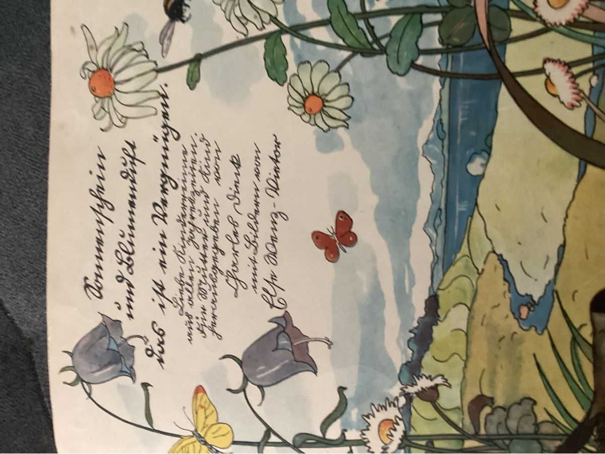 Libri: ANIKES KINDERBUCH 1922 – Usato da Münchenstein venduto da NoSu98 5