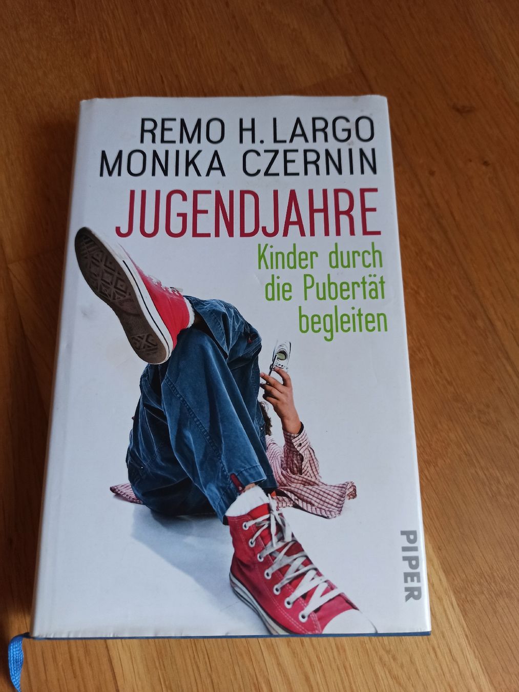 Bücher: Erziehungsbuch von Remo Largo – Neu (gemäss Beschreibung) aus Niederwil AG von Nioc28