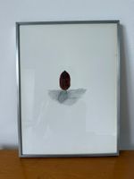 Bild Blatt von Anna Marie Kupper
