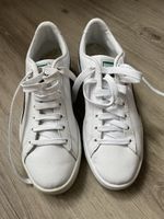 NEU!!  Puma Basket Gr.38