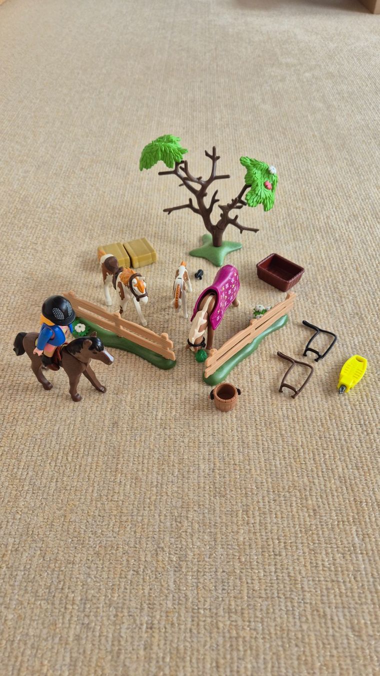 Playmobil Giocattoli: Playmobil Pferde – Usato da Knonau venduto da regrak