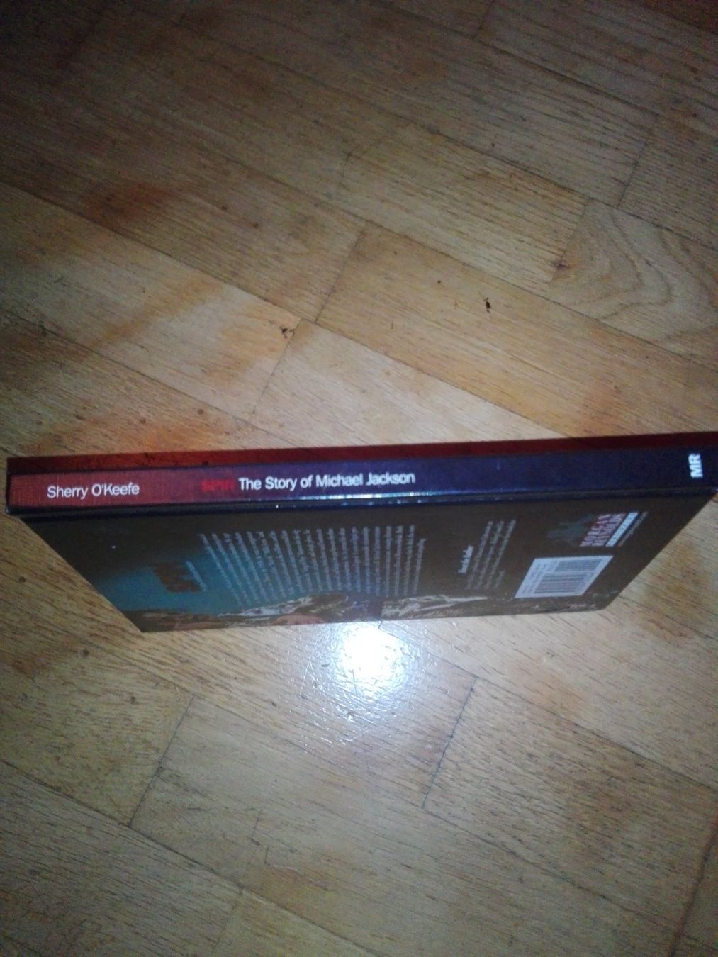Libri: Michael Jackson Biografie "SPIN"  >englisch<       ©'2011 – Usato da St.Gallen venduto da elk2022 7