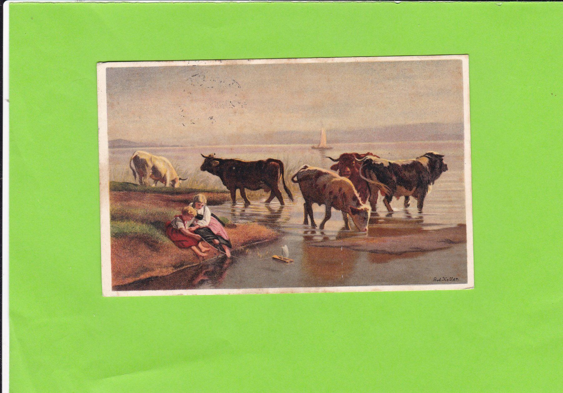 Cartoline postali: Pro Juventute: Vieh im See – Usato da St. Peterzell venduto da neckertal