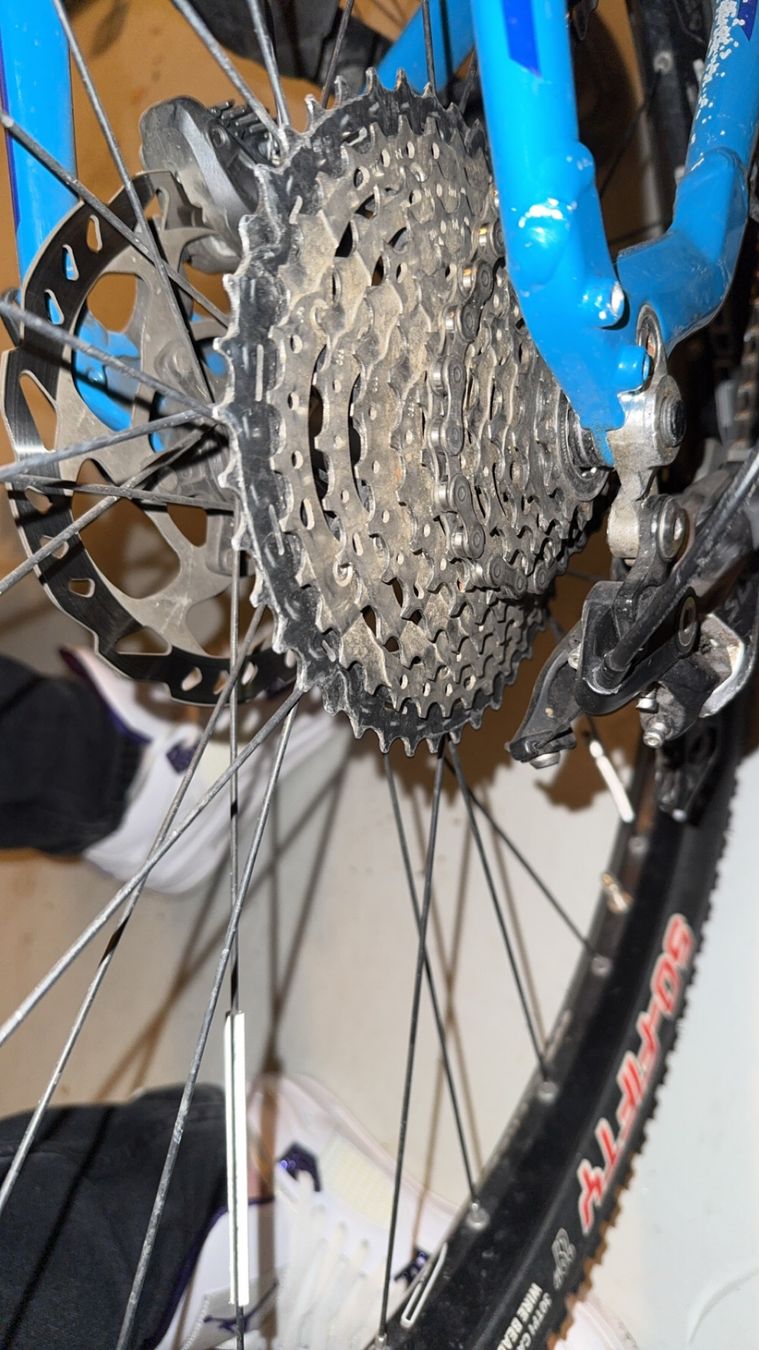 Thömus Biciclette: Thömus Tomcat Alu 29 S blau – Usato da Herrliberg venduto da nomo06 8