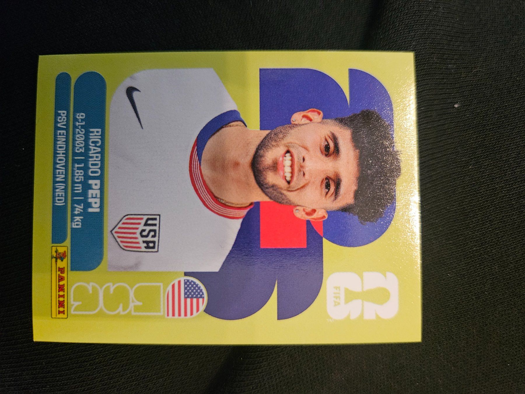 Panini Sammelbilder & Trading cards: USA18 – Gebraucht aus Würenlingen von Dinli