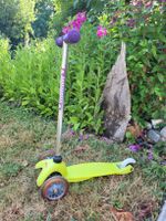 Micro Scooter 