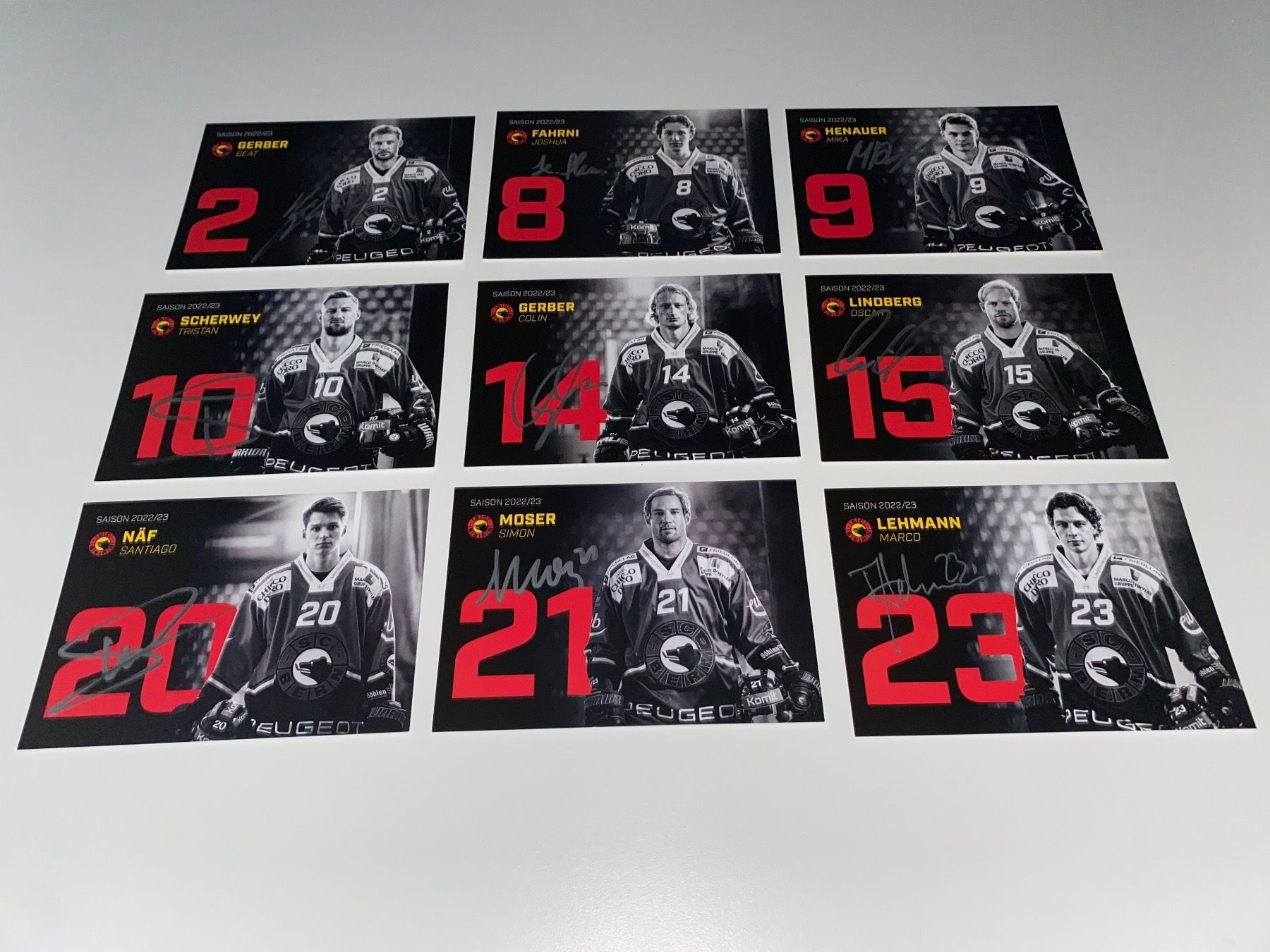 Autogramme: 29 Autogrammkarten SCB SC Bern Saison 2022/23 – Gebraucht aus Hergiswil LU von FcMalkov 2