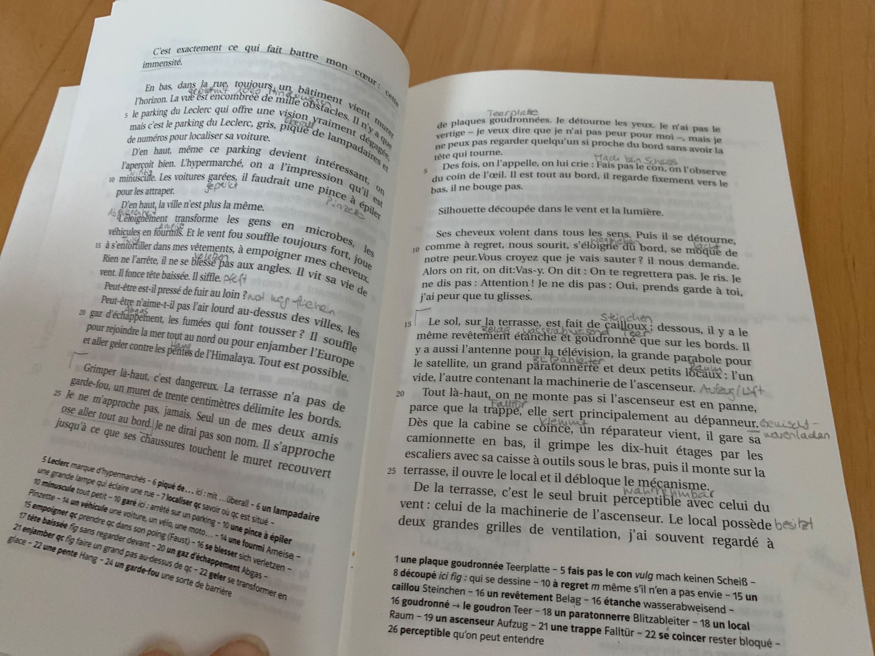 Libri: Plus haut que les oiseaux Eric Pessan – Usato da Oberweningen venduto da Jogi2 1