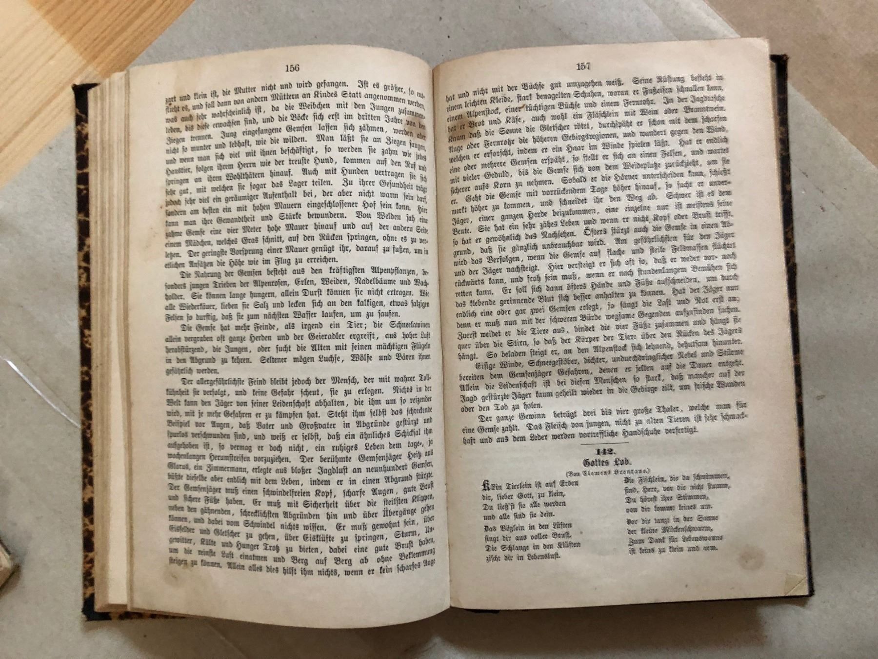 Bücher: Philipp Wackernagel: Deutsches Lesebuch – Gebraucht aus Zürich von allp 6