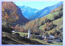 Weisstannen 1000 m ü.M.