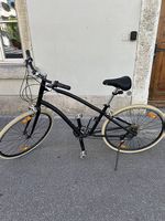 Schöner Beachcruiser